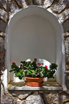 Alkionides Hydra